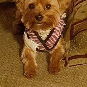 Meet your Posher, Amy